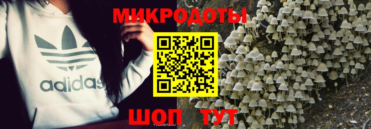 Галлюциногенные грибы Psilocybine cubensis  Вход с VPN  Псилоцибиновые грибы MAGIC MUSHROOMS  Сланцы 