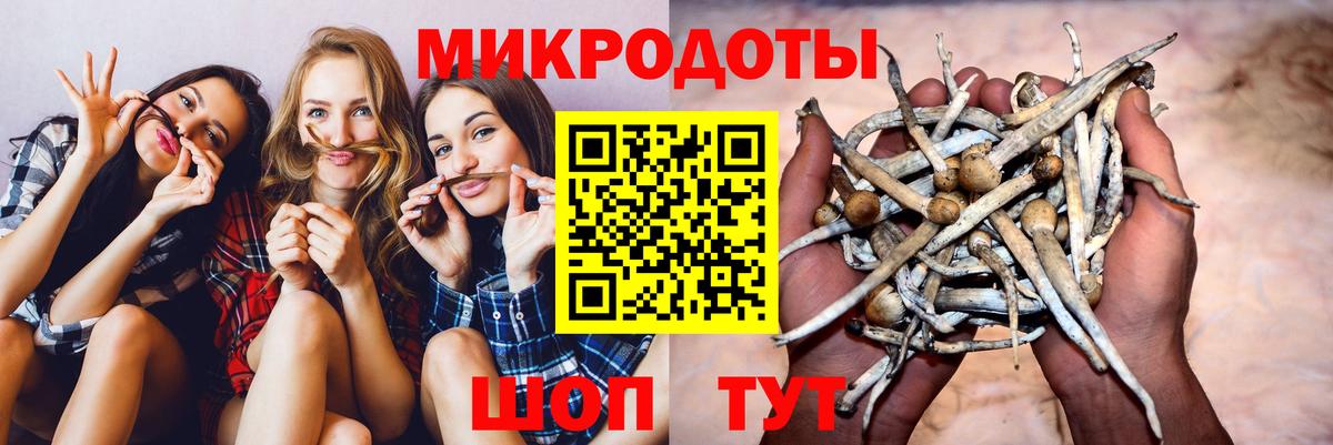 Галлюциногенные грибы прущие грибы Сланцы